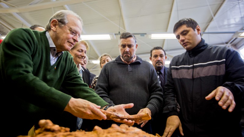 SÃO JOÃO DO POLÊSINE, RS, BRASIL, 30.05.14:  Governador Tarso Genro e secretários visitam o Centro de Apoio à Pesquisa Paleontológica (CAAPA), em São João do Polêsine. Foto: Alina Souza/Palácio Piratini