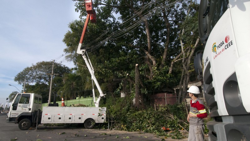 Objetivo da nova parceria é disciplinar e possibilitar à concessionária de energia a execução de podas de árvores que estejam interferindo no funcionamento do sistema elétrico