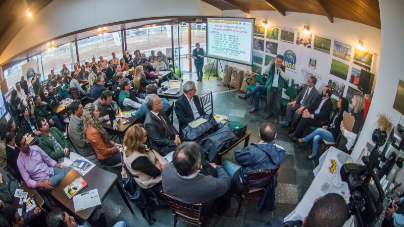 Variedades lançadas na 37ª Expointer vão auxiliar no aprimoramento do desempenho das lavouras