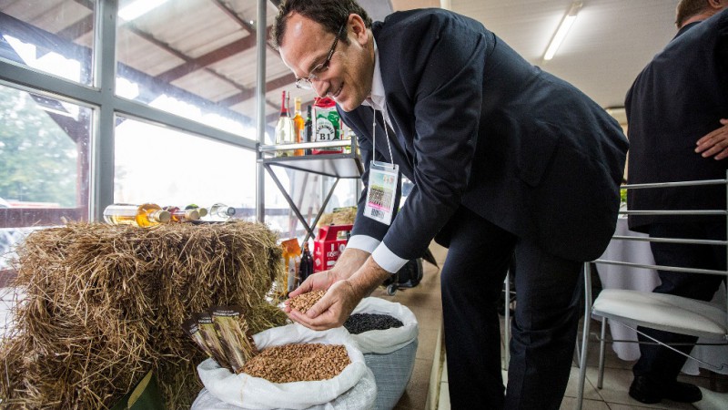 As novas cultivares estão disponíveis para empresas interessadas em multiplicar suas sementes