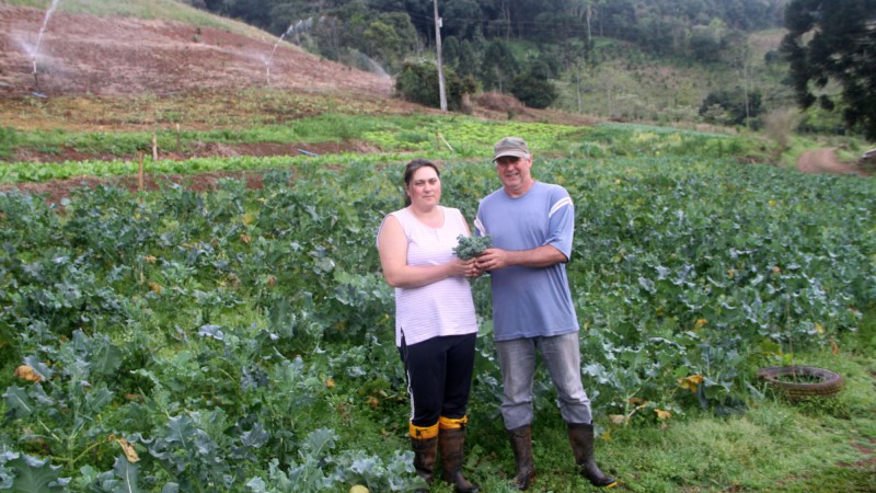 Sistema de irrigação estimulou a produção na propriedade do casal Gilmar e Sandra Boller