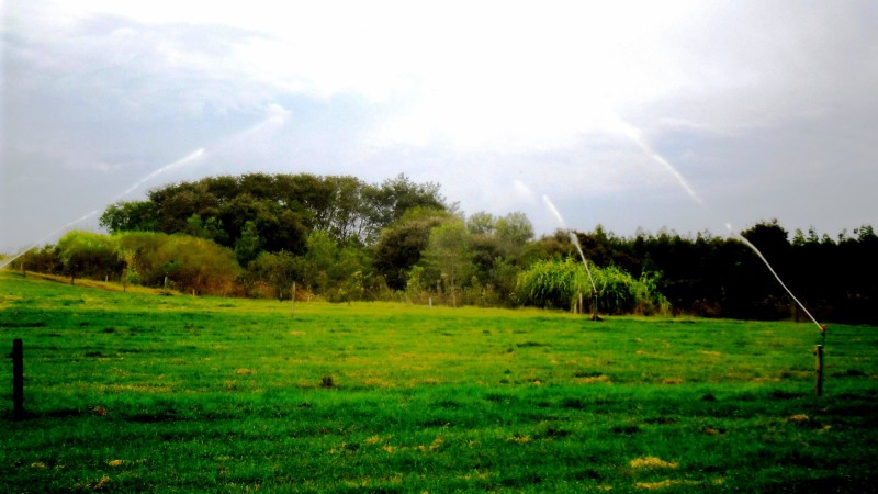 Tarde de Campo numa propriedade do município vai mostrar práticas sustentáveis, como a açudagem e irrigação
