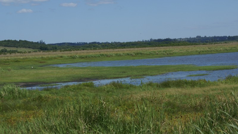 Área foi criada em 2002 e tem 2.560 hectares