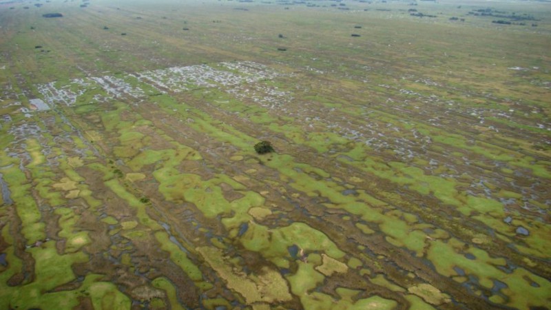 Paisagem típica do Banhado do Maçarico: cordões litorâneos paralelos