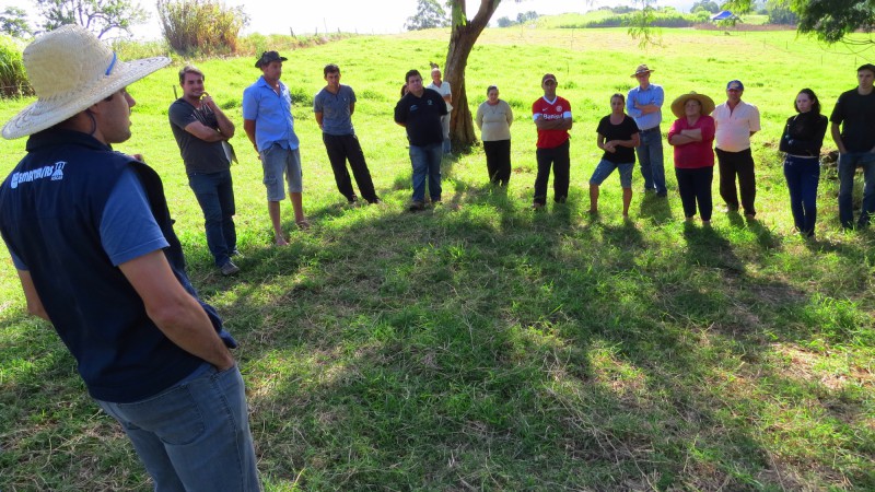 Tarde de Campo em Caiçara