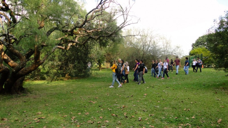 Visitantes participaram do Dia Internacional do Fasc&iacute;nio &agrave;s Plantas no Jardim Bot&acirc;nico, promovido em 57 pa&iacute;ses