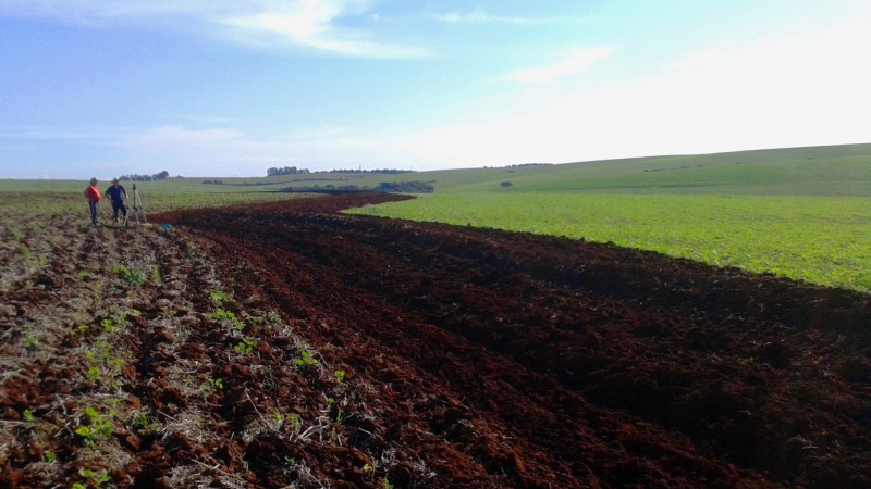 Agricultura conservacionista