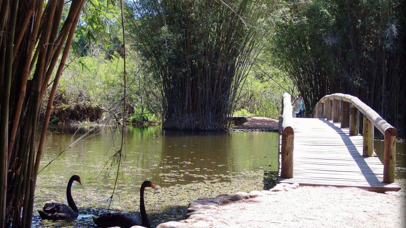 Jardim Bot&acirc;nico