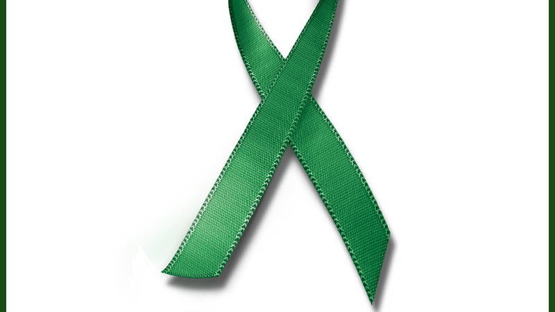 Transplantes - Sa&uacute;de