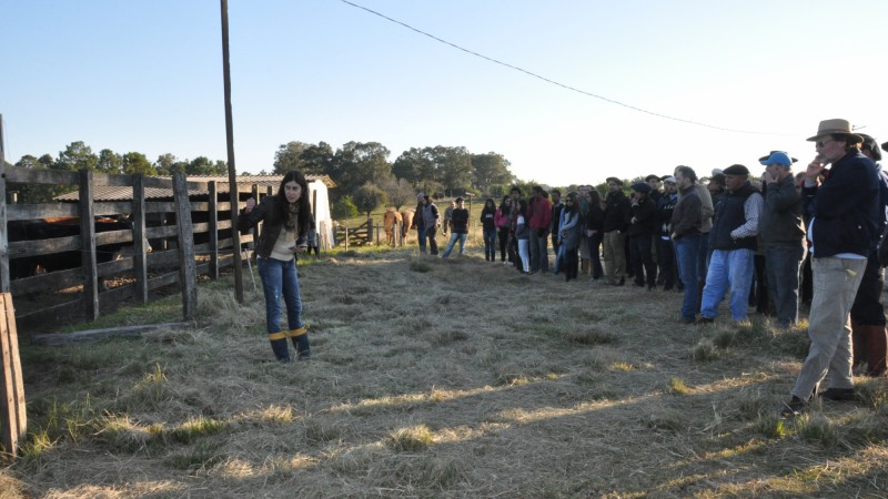 Manejo de campo nativo