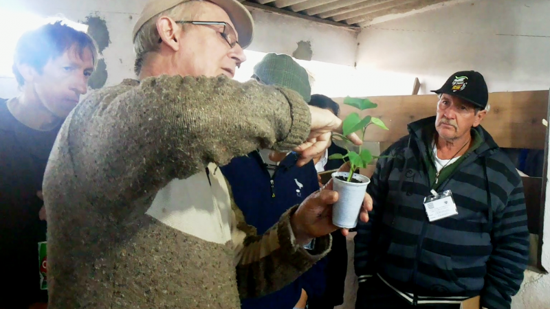 Programa Prosa Rural