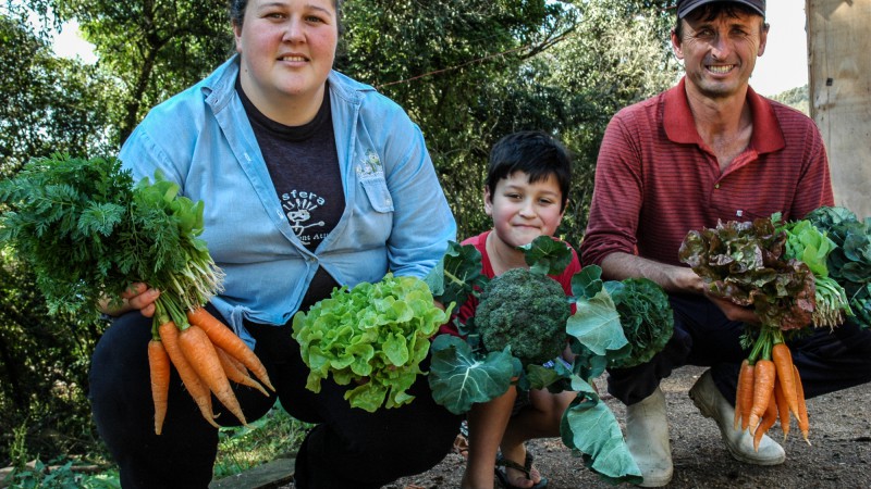 Produção agroecológica tem a qualidade como princípio fundamental