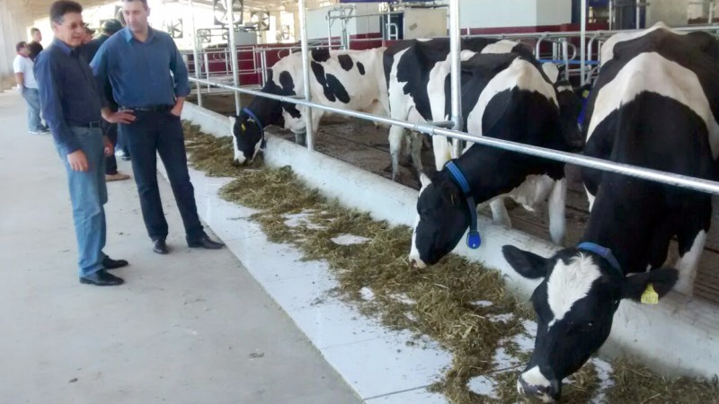 Ordenha robotizada em condomínios leiteiros ganha força no Rio Grande do Sul