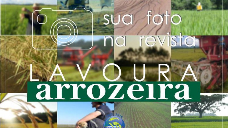 Concurso do Irga