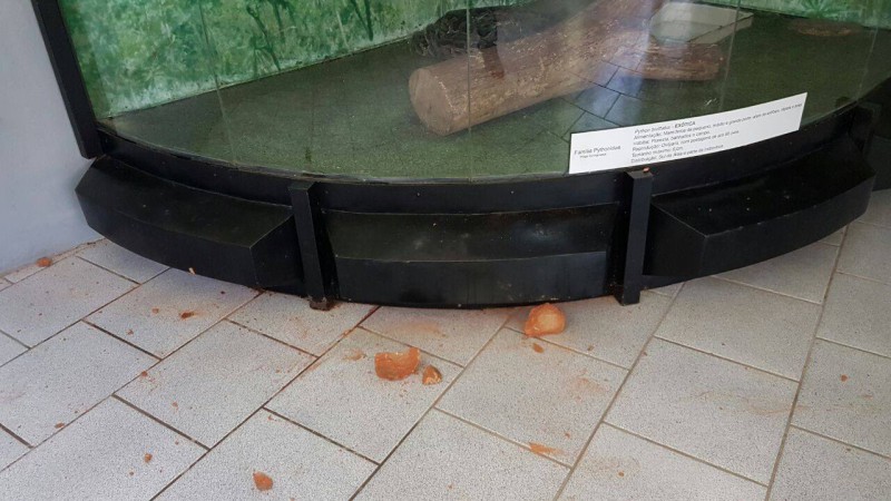 Serpentário do Museu de Ciências Naturais é arrombado na madrugada