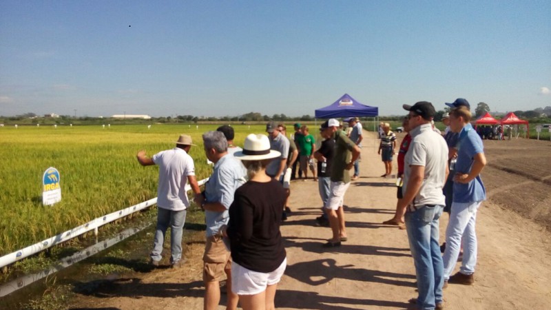Irga reúne produtores da região da Planície Costeira Interna em Dia de Campo