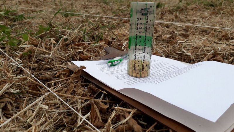Emater utiliza método tradicional para monitorar colheita da soja em Candelária