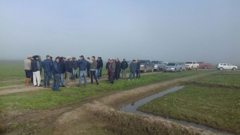 Regi&atilde;o Sul do estado tem o primeiro roteiro t&eacute;cnico de inverno do Irga deste ano