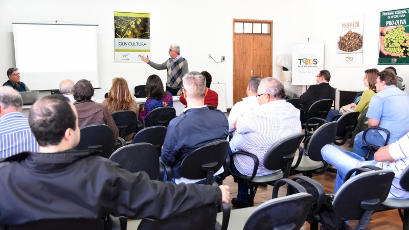 O Ibraoliva vai promover e ordenar o desenvolvimento do setor oliv&iacute;cola brasileiro