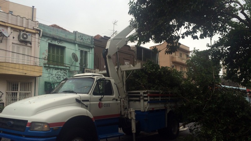 Projeto de podas ajuda a diminuir desligamentos de energia na &aacute;rea da CEEE