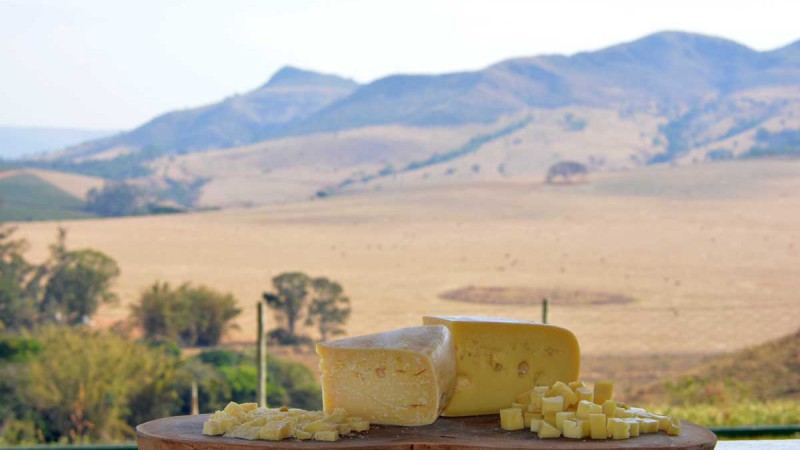 "O Rio Grande do Sul tem grande potencial para comercializar queijos regionais, como o colonial e o serrano", explicou Danilo Gomes