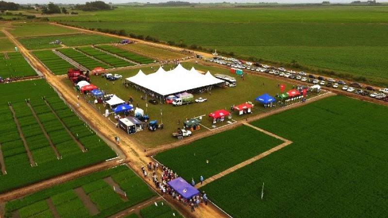 Dia de campo