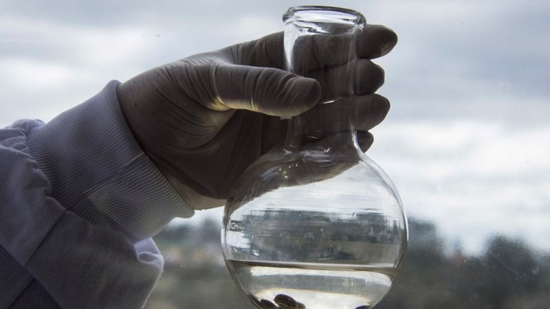 Estudo identificou resistência do carrapato bovino à ivermectina, pesticida mais usado no combate às infestações do parasita