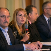Lançamento do documento Mineração no Rio Grande do Sul Diagnóstico Setorial e Visão de Futuro