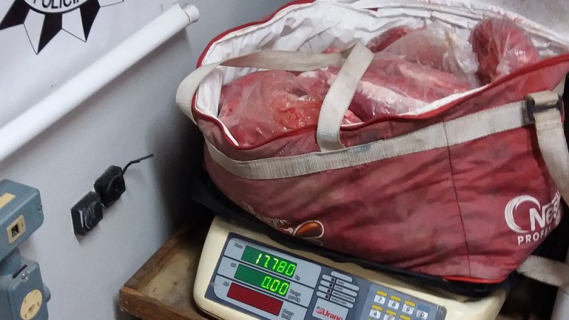 Força-tarefa apreendeu 25 quilos de carne de capivara, 17 de carne de javali e 13 quilos de peixes