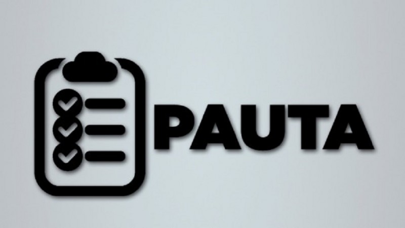 pauta800