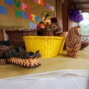 PORTO ALEGRE, RS, BRASIL, 23/04/2019 - Início da campanha da vacinação em povos indígenas na aldeia Van-Kã, dos Caigangue, no bairro Lami. Fotos: Felipe Dalla Valle/Palácio Piratini