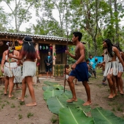 PORTO ALEGRE, RS, BRASIL, 23/04/2019 - Início da campanha da vacinação em povos indígenas na aldeia Van-Kã, dos Caigangue, no bairro Lami. Fotos: Felipe Dalla Valle/Palácio Piratini