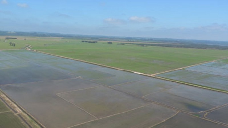 Fiscalização região arrozeira Rio Jacuí