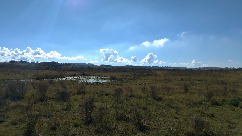 licença barragem bagé