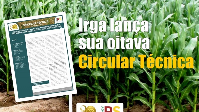 circular técnica milho e arroz IRGA