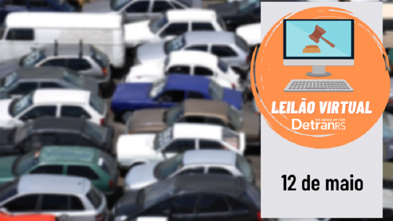 Leilão Virtual 12 5