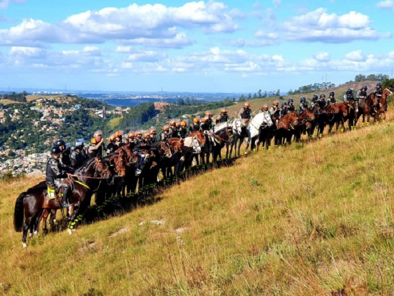 No Dia da Cavalaria, Brigada Militar ganha 23 novos soldados especializados  na atividade - Portal do Estado do Rio Grande do Sul