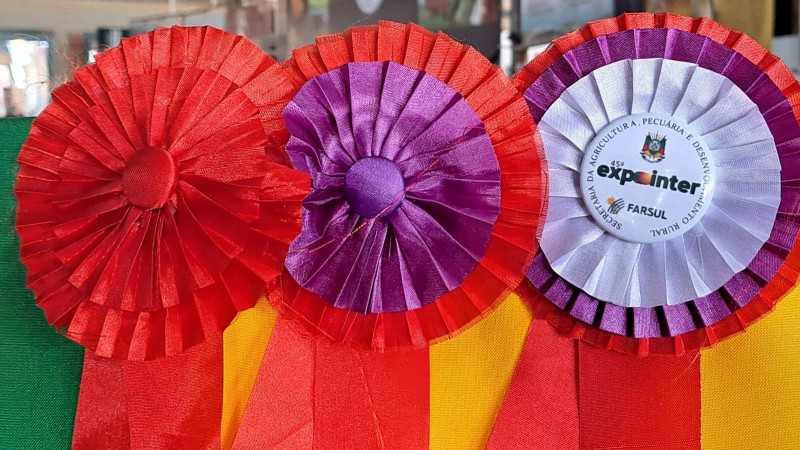 rosetas expointer 2