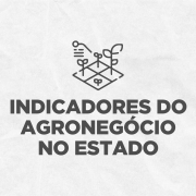 Card em fundo cinza, no qual está escrito Indicadores do Agronegócio no Estado ao centro, logo abaixo de um ícone que representa uma plantação com uma espécie de gráfico na parte esquerda superior. No canto inferior direito está a logomarca utilizada pela gestão 2023-2026 do governo do Rio Grande do Sul.