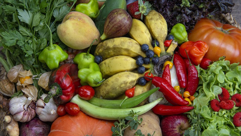 Imagem com diversas frutas e legumes