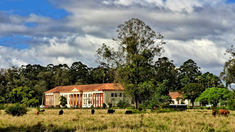 Instituto de Pesquisas Veterinárias Desidério Finamor hoje