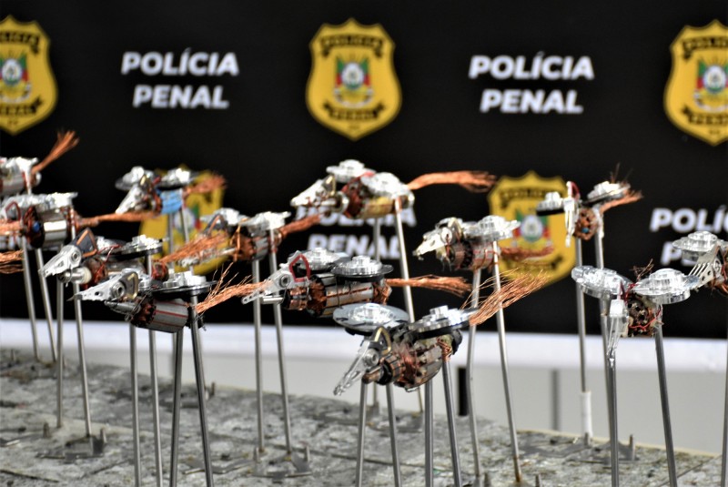 A ave quero-quero reproduzida nos troféus, um dos símbolos do Rio Grande do Sul, compõe a logomarca do prêmio. -Foto: Manu Oliveira/Ascom Sema