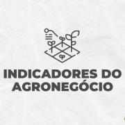 Card indicadores do agronegocio