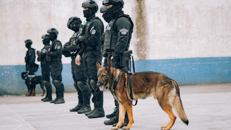 Foto em ambiente aberto, no que parece ser um pátio prisional. Seis policiais de trajes e capacetes pretos estão enfileirados de pé. No primeiro plano da imagem está um cão, preso pela coleira junto a um deles.
