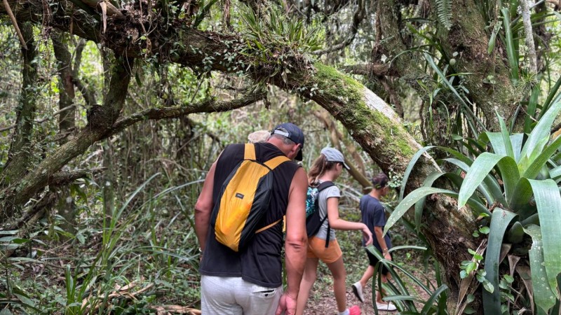 Foto em ambiente aberto de pessoas andando, de costas para a câmera, em meio à mata fechada.