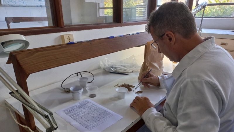 Foto de homem de jaleco branco sentado, de lado para a câmera, manejando itens pequenos com uma pinça numa mesa branca de laboratório.