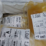 Foto de bolsas de sangue etiquetadas