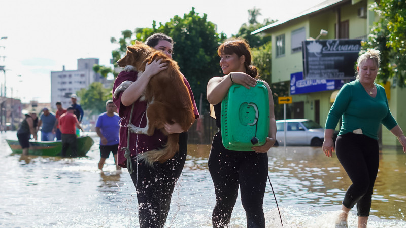 Resgate de animais em Canoas