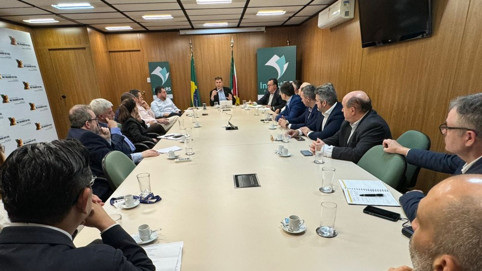 Representantes internacionais discutem parcerias com o RS   out24