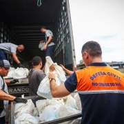 Integrante da Defesa Civil de costas organizando kits de doações que estão sendo descarregados de um caminhão por cinco homens.